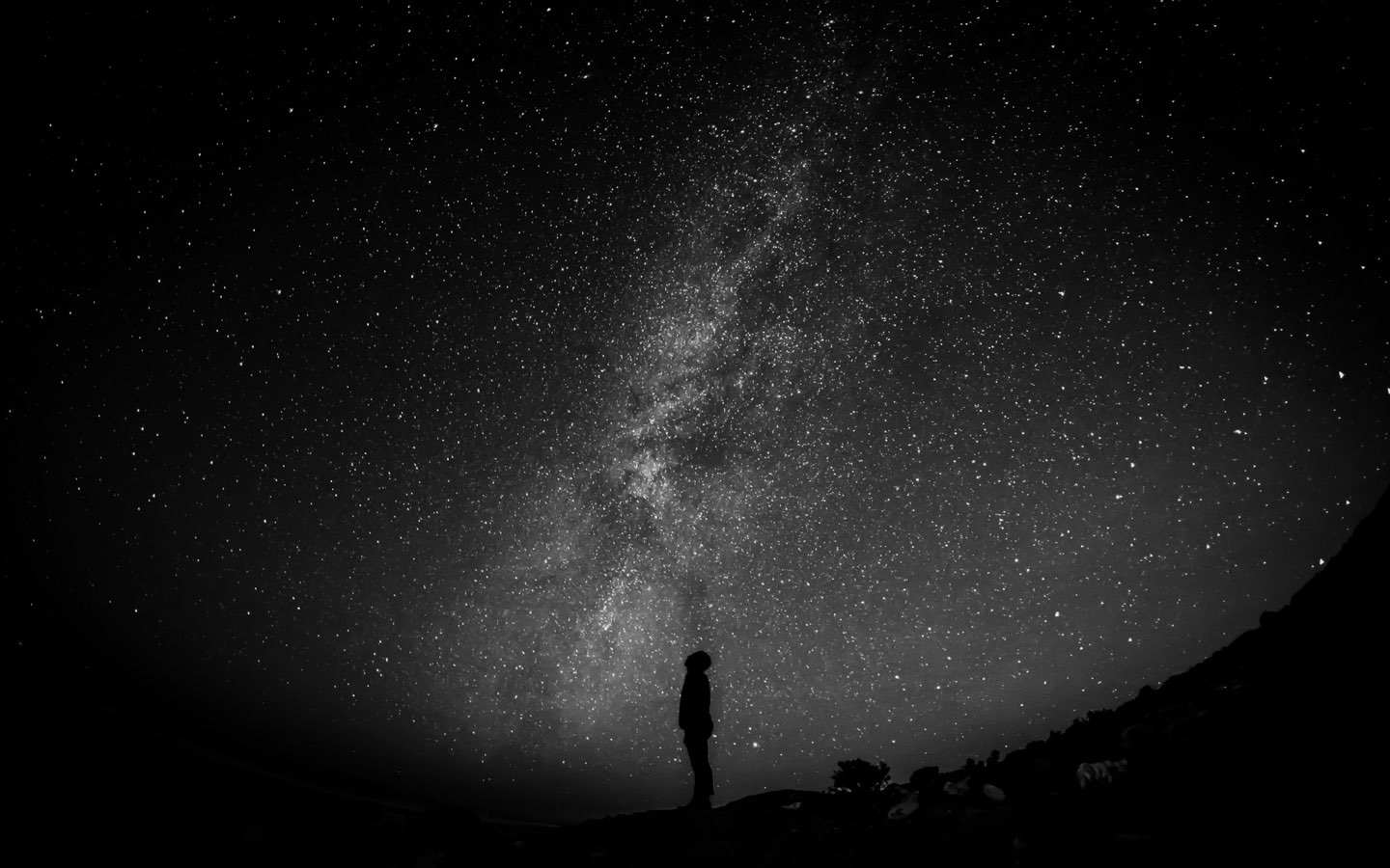 Silhouette of a person standing under a starry night sky
